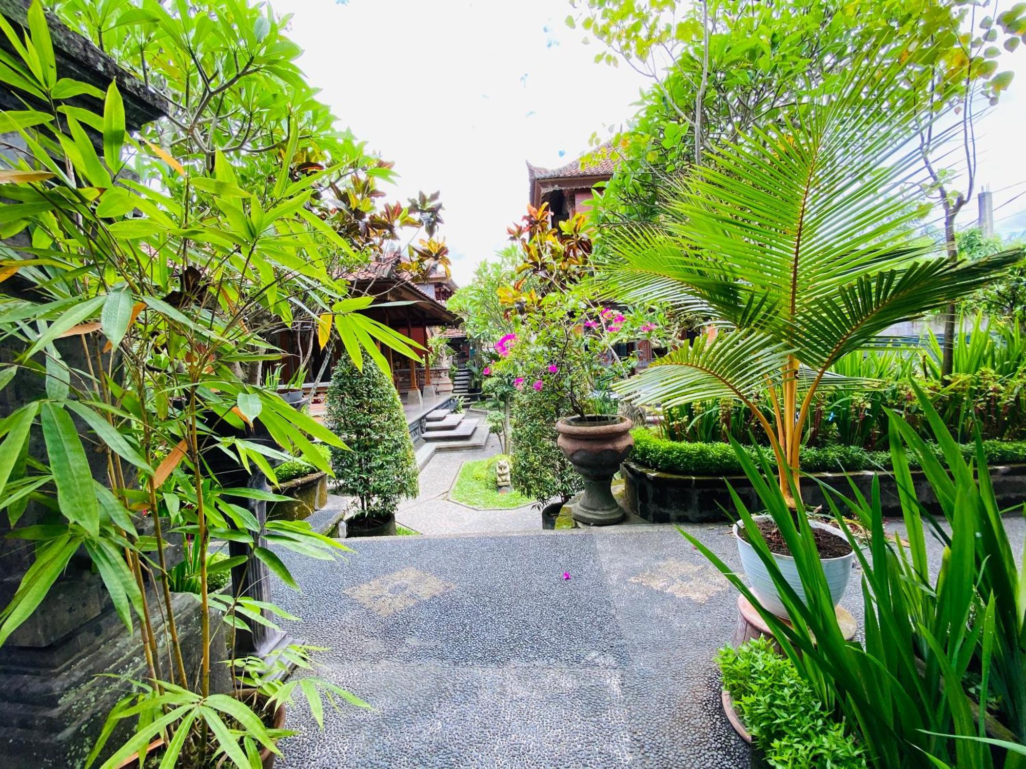 Aura Bisma Guesthouse Ubud Eksteriør billede